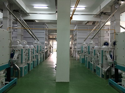 1000t/d rice mill